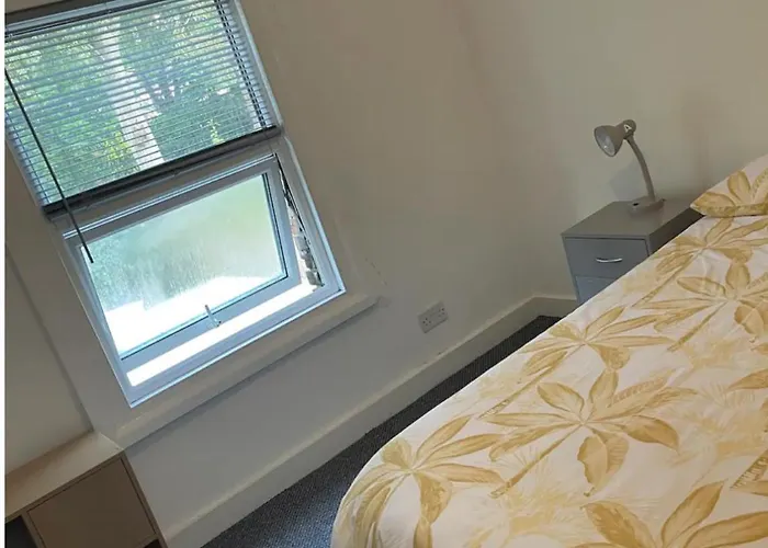 Lovely Room In Tottenham